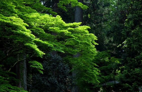 環境問題の観点からも注目されている廃プラ | 京都郡にある産廃業者・株式会社 環境リサイクルセンター