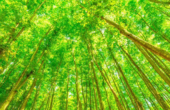 最終的な処分の前に行うべき中間処理についても把握 | 京都郡にある産廃業者・株式会社 環境リサイクルセンター