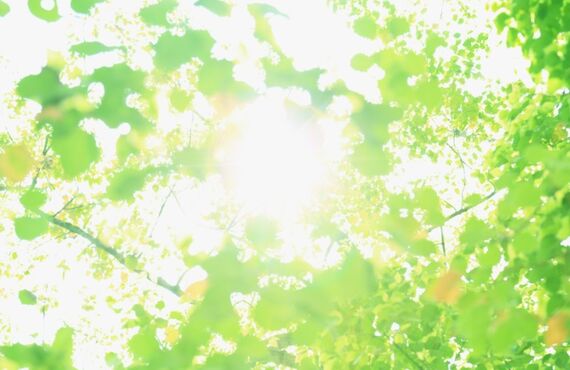 行橋市周辺の産廃業者、木くず破砕いたします