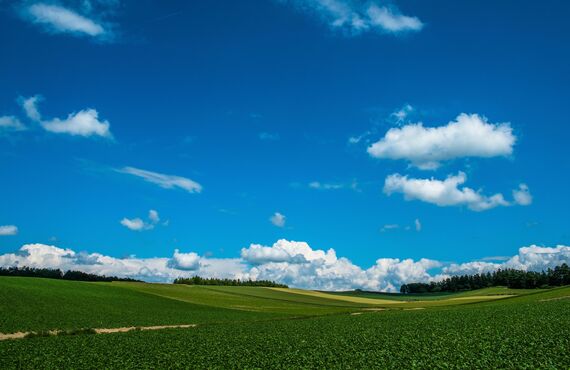 移動式・固定式兼用許可取得、公共工事などで発生される木くずをチップ化し、処理工場での処理・排出現場でのリサイクルを可能に致します。